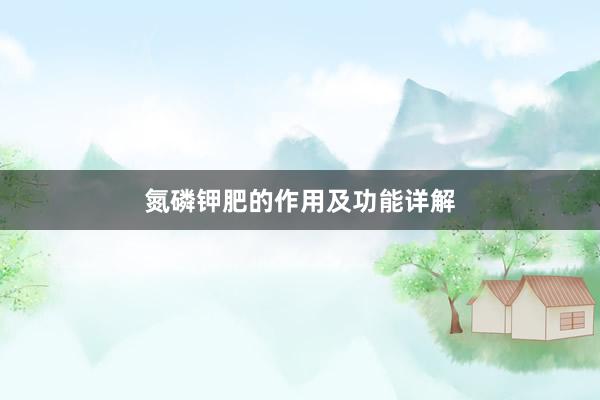 氮磷钾肥的作用及功能详解