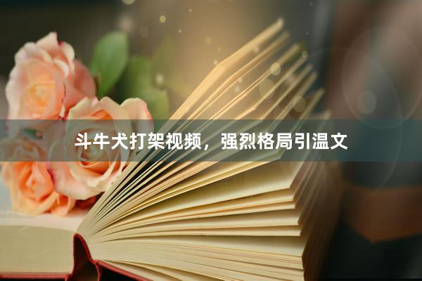 斗牛犬打架视频，强烈格局引温文